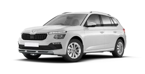 Skoda Kamiq Selection 1.0 TSI 115CV DSG